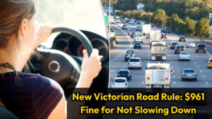 Road Rule